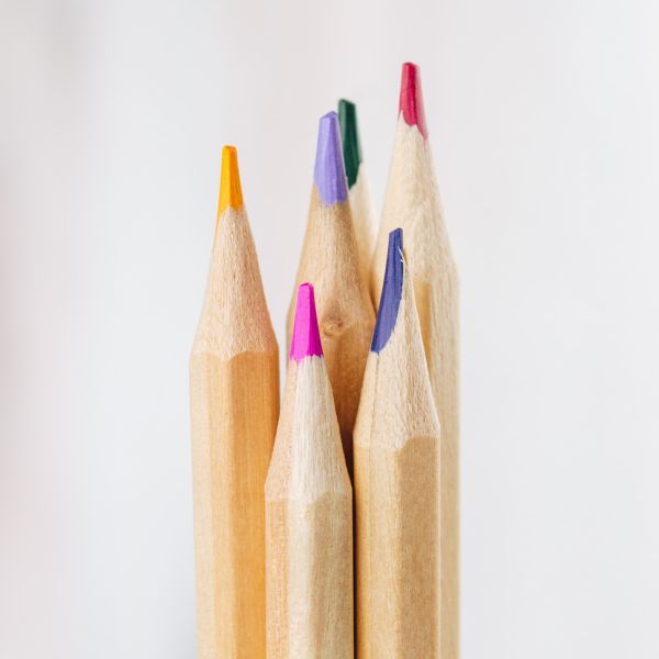 Alles over WordPress